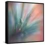 Pine Needles 1-Ursula Abresch-Framed Stretched Canvas