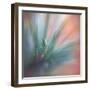 Pine Needles 1-Ursula Abresch-Framed Photographic Print