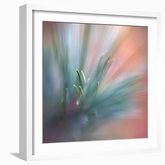Pine Needles 1-Ursula Abresch-Framed Photographic Print
