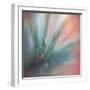 Pine Needles 1-Ursula Abresch-Framed Photographic Print