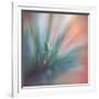 Pine Needles 1-Ursula Abresch-Framed Photographic Print