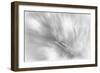 Pine Needles 2-Ursula Abresch-Framed Photographic Print