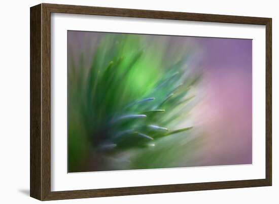 Pine Needles 5-Ursula Abresch-Framed Photographic Print