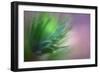 Pine Needles 5-Ursula Abresch-Framed Photographic Print