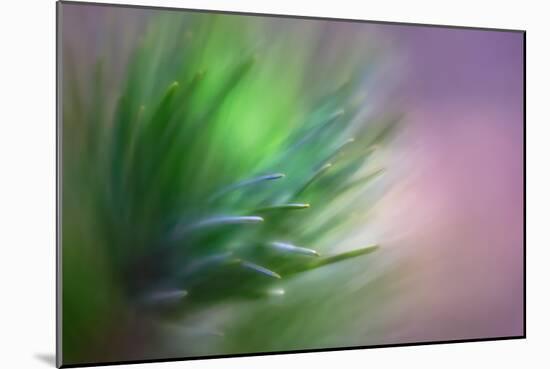 Pine Needles 5-Ursula Abresch-Mounted Photographic Print