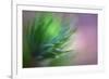 Pine Needles 5-Ursula Abresch-Framed Photographic Print