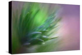 Pine Needles 5-Ursula Abresch-Stretched Canvas