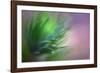 Pine Needles 5-Ursula Abresch-Framed Photographic Print