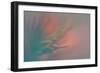 Pine Needles 5-Ursula Abresch-Framed Photographic Print