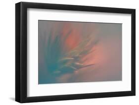 Pine Needles 5-Ursula Abresch-Framed Photographic Print