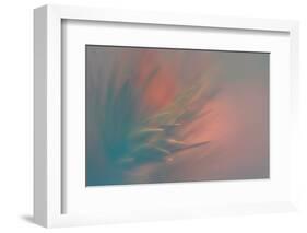 Pine Needles 5-Ursula Abresch-Framed Photographic Print