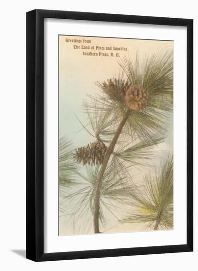 Pine Needles and Cones, Southern Pines, North Carolina-null-Framed Art Print