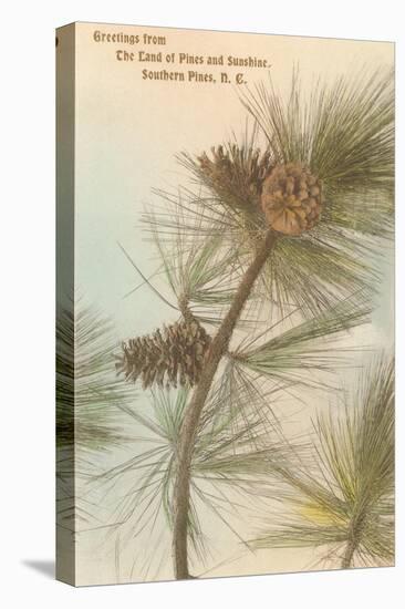 Pine Needles and Cones, Southern Pines, North Carolina-null-Stretched Canvas