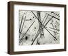 Pine Needles, Oregon, 1972-Brett Weston-Framed Photographic Print