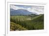 Pine Plantation for Logging Industry, Near Nelson, South Island, New Zealand, Pacific-Stuart Black-Framed Photographic Print