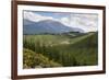 Pine Plantation for Logging Industry, Near Nelson, South Island, New Zealand, Pacific-Stuart Black-Framed Photographic Print