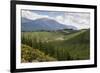 Pine Plantation for Logging Industry, Near Nelson, South Island, New Zealand, Pacific-Stuart Black-Framed Photographic Print