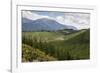 Pine Plantation for Logging Industry, Near Nelson, South Island, New Zealand, Pacific-Stuart Black-Framed Photographic Print