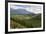 Pine Plantation for Logging Industry, Near Nelson, South Island, New Zealand, Pacific-Stuart Black-Framed Photographic Print