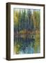 Pine Reflection I-Tim O'toole-Framed Art Print