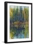 Pine Reflection I-Tim O'toole-Framed Art Print