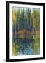 Pine Reflection I-Tim O'toole-Framed Art Print