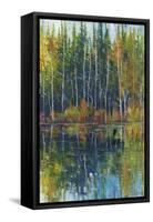 Pine Reflection I-Tim O'toole-Framed Stretched Canvas