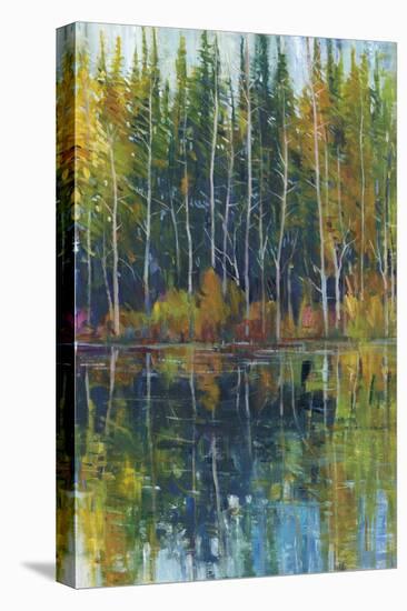 Pine Reflection I-Tim O'toole-Stretched Canvas