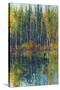 Pine Reflection I-Tim O'toole-Stretched Canvas