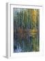 Pine Reflection II-Tim O'toole-Framed Art Print