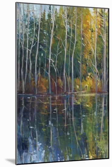 Pine Reflection II-Tim O'toole-Mounted Art Print