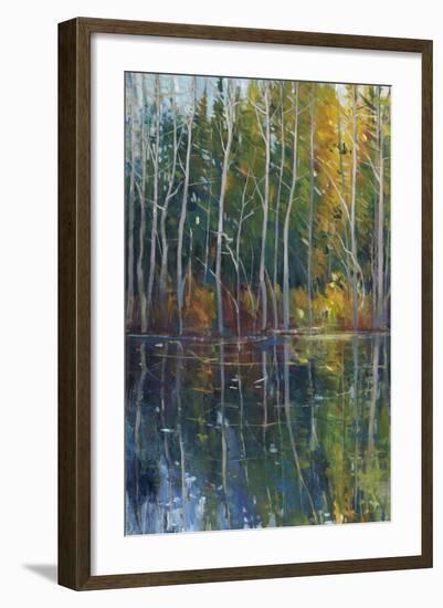 Pine Reflection II-Tim O'toole-Framed Art Print