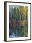 Pine Reflection II-Tim O'toole-Framed Art Print