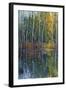 Pine Reflection II-Tim O'toole-Framed Art Print