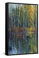 Pine Reflection II-Tim O'toole-Framed Stretched Canvas