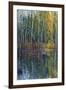 Pine Reflection II-Tim O'toole-Framed Art Print