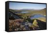 Pine Regeneration Above Rothiemurchus Forest. Cairngorms National Park, Scotland, May 2011-Peter Cairns-Framed Stretched Canvas