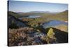 Pine Regeneration Above Rothiemurchus Forest. Cairngorms National Park, Scotland, May 2011-Peter Cairns-Stretched Canvas