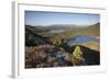 Pine Regeneration Above Rothiemurchus Forest. Cairngorms National Park, Scotland, May 2011-Peter Cairns-Framed Photographic Print