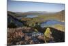 Pine Regeneration Above Rothiemurchus Forest. Cairngorms National Park, Scotland, May 2011-Peter Cairns-Mounted Photographic Print