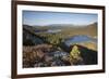 Pine Regeneration Above Rothiemurchus Forest. Cairngorms National Park, Scotland, May 2011-Peter Cairns-Framed Photographic Print