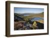 Pine Regeneration Above Rothiemurchus Forest. Cairngorms National Park, Scotland, May 2011-Peter Cairns-Framed Photographic Print