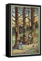 Pine Resin Collectors in the Landes, France-null-Framed Stretched Canvas