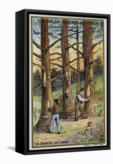 Pine Resin Collectors in the Landes, France-null-Framed Stretched Canvas