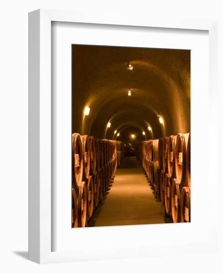 Pine Ridge Winery Cask Room, Yountville, Napa Valley, California-Walter Bibikow-Framed Photographic Print