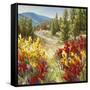 Pine Ridge-A.A. Pfannmuller-Framed Stretched Canvas