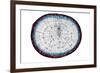 Pine Root, Light Micrograph-Dr. Keith Wheeler-Framed Photographic Print