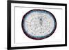 Pine Root, Light Micrograph-Dr. Keith Wheeler-Framed Photographic Print
