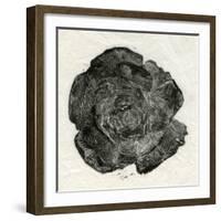 Pine Rose, 2014-Bella Larsson-Framed Giclee Print