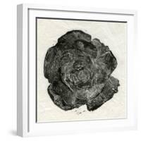 Pine Rose, 2014-Bella Larsson-Framed Giclee Print